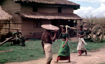 Nepal 1978 Chitawan